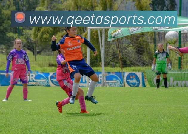 体育下注服务体系